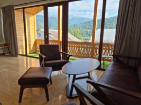 The Penthouse ,apartment with 2 bedrooms,whole apartment, апартмент целиком